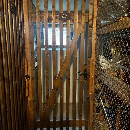 Seeblick 60 Im Hanseat I Grömitz